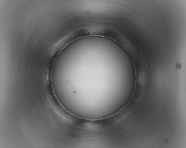 X0000112420733200908211145