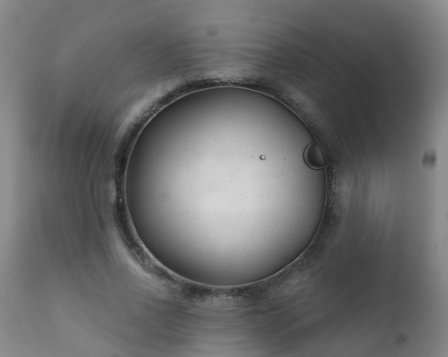 X0000112420734200908211145