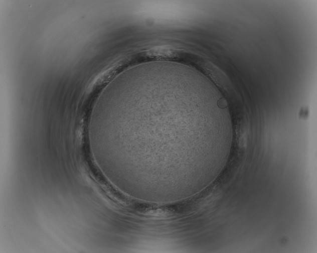 X0000112420735200908211145