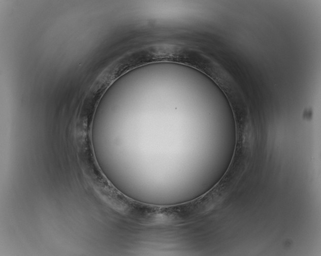 X0000112420737200908211145