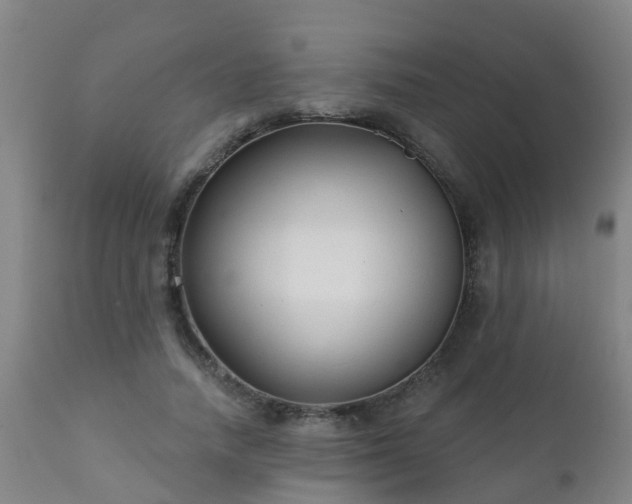 X0000112420738200908211145