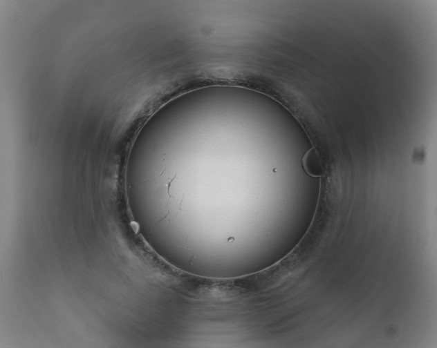 X0000112420739200908211145