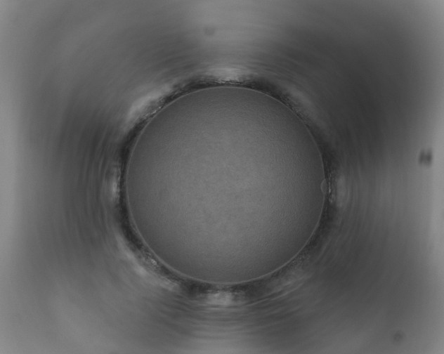 X0000112420740200908211145