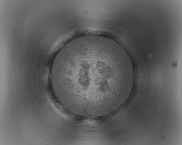 X0000112420742200908211145