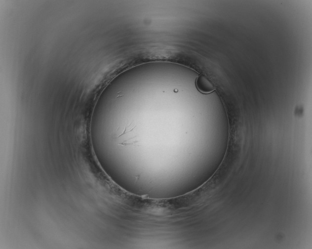 X0000112420743200908211145