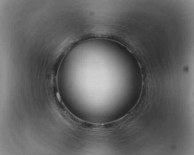 X0000112420744200908211145