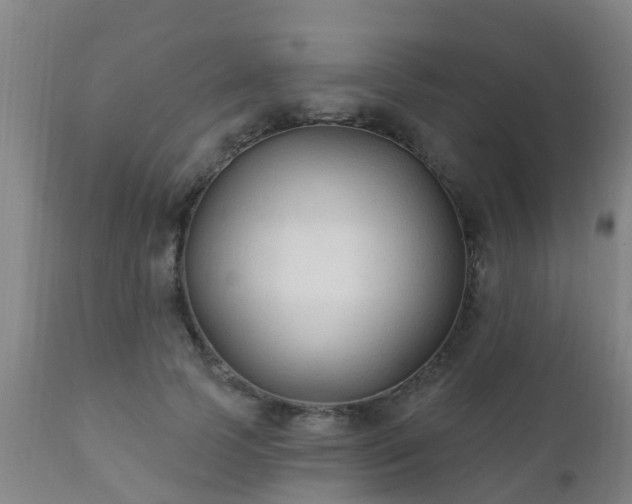 X0000112420745200908211145