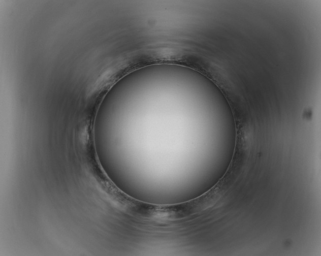 X0000112420746200908211145