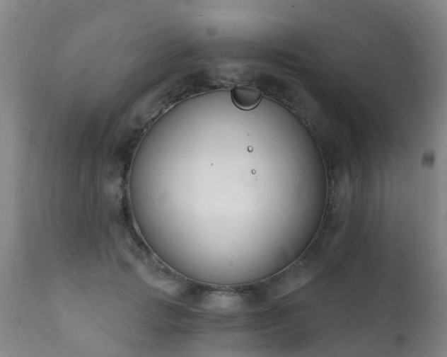 X0000112420749200908211145