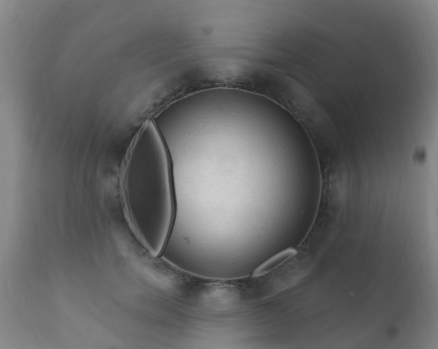 X0000112420750200908211145