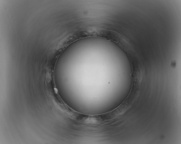 X0000112420751200908211145