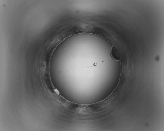 X0000112420752200908211145