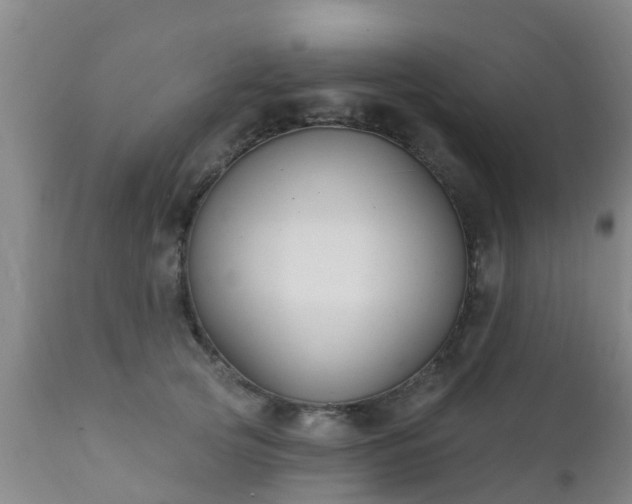 X0000112420753200908211145