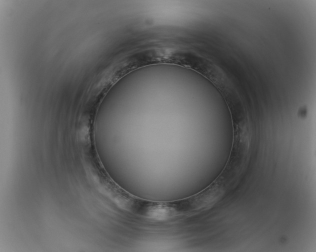 X0000112420754200908211145