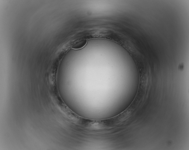 X0000112420755200908211145