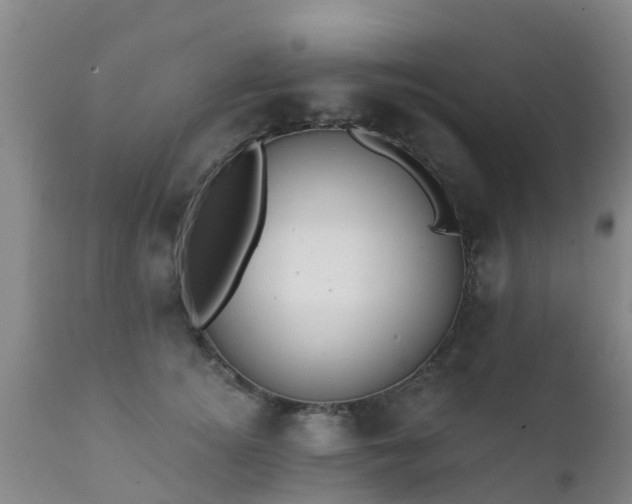 X0000112420756200908211145