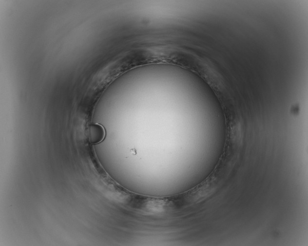 X0000112420757200908211145