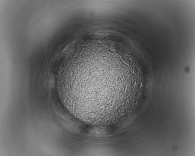 X0000112420758200908211145