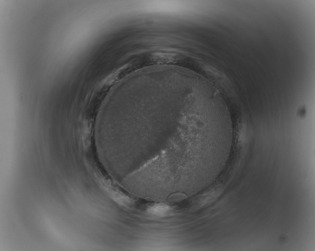 X0000112420759200908211145