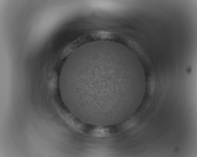 X0000112420760200908211145