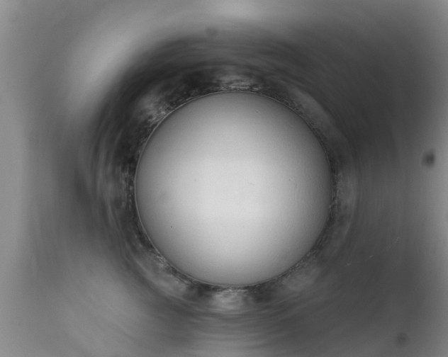 X0000112420761200908211145