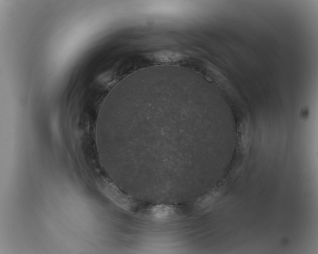 X0000112420762200908211146