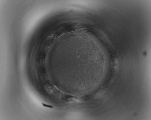 X0000112420763200908211146