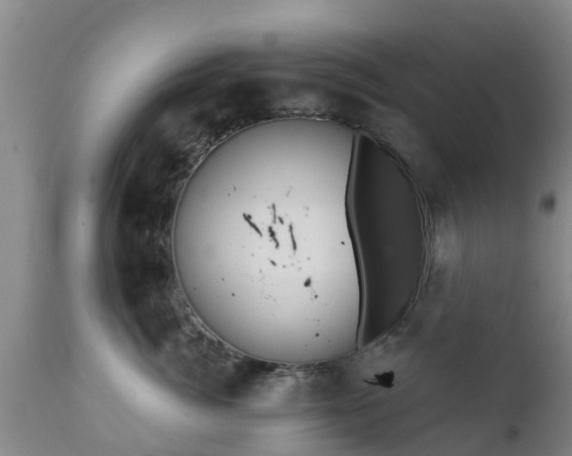 X0000112420764200908211146