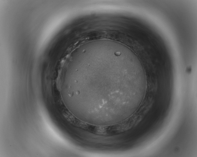 X0000112420766200908211146