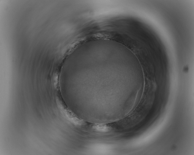 X0000112420767200908211146