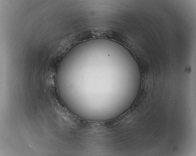 X0000112420770200908211145