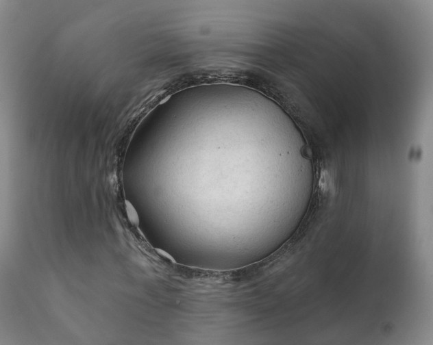 X0000112420771200908211145