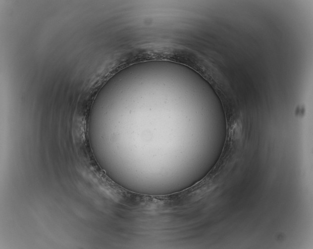 X0000112420772200908211145