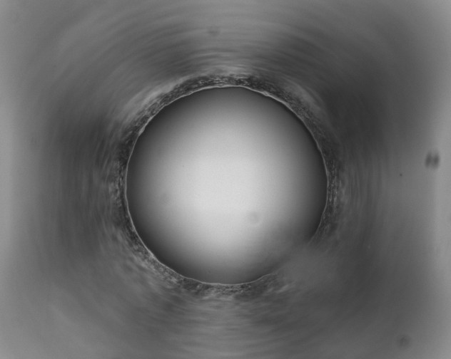 X0000112420773200908211145