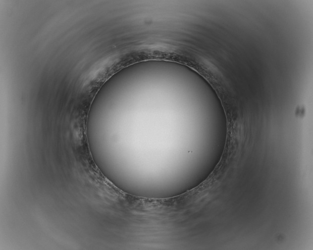 X0000112420774200908211145