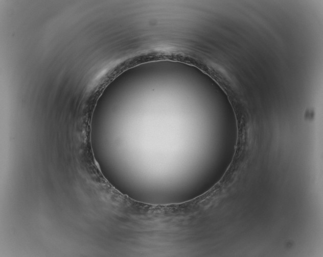 X0000112420776200908211145