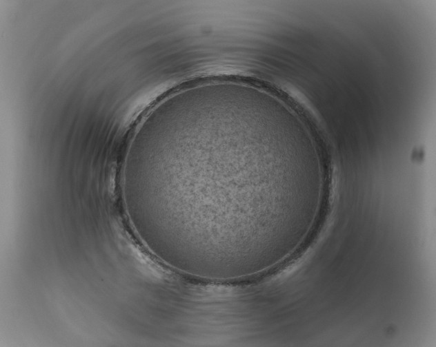 X0000112420777200908211145