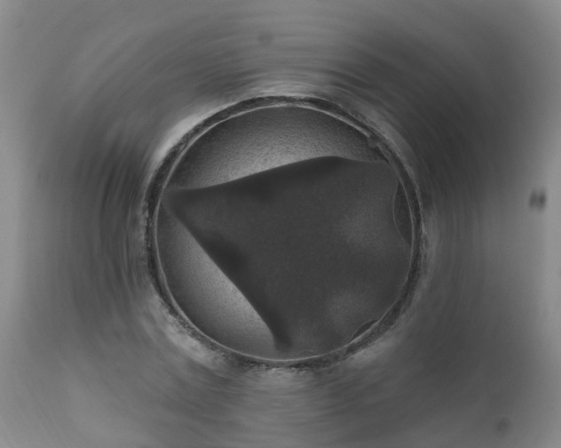 X0000112420779200908211145