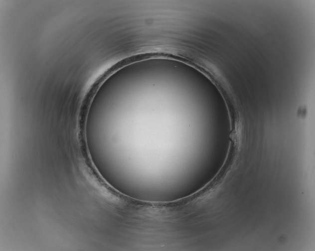 X0000112420780200908211145