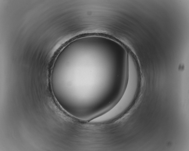 X0000112420781200908211145