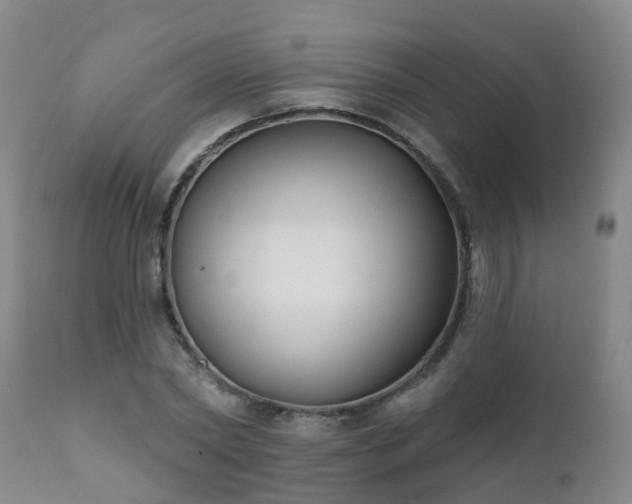 X0000112420782200908211145