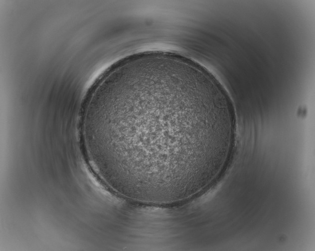 X0000112420783200908211145