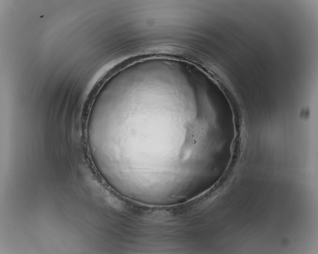 X0000112420784200908211145