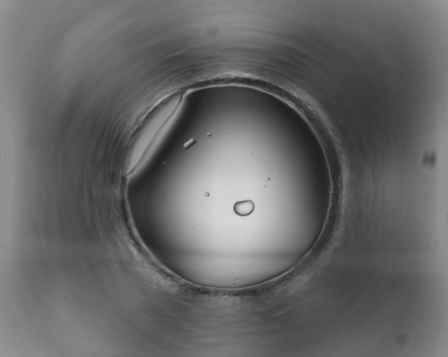 X0000112420785200908211145