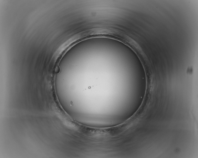 X0000112420786200908211145