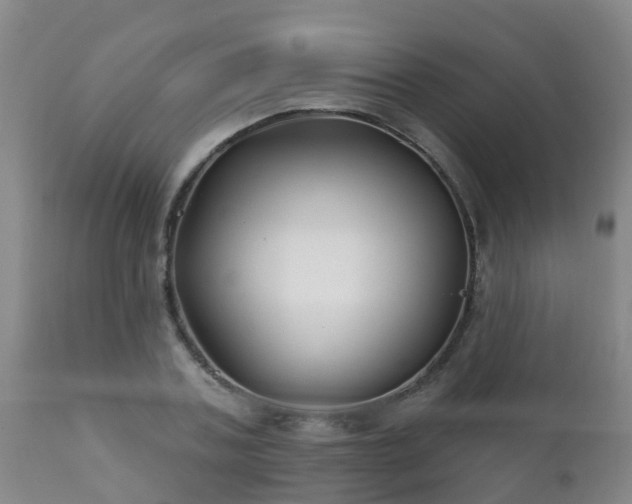 X0000112420787200908211145