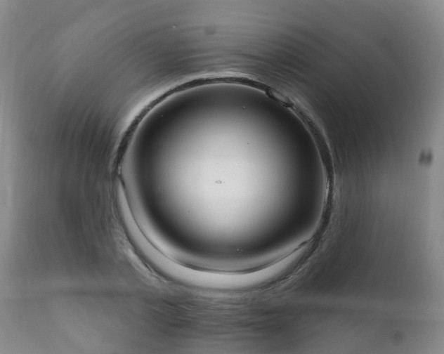 X0000112420789200908211145