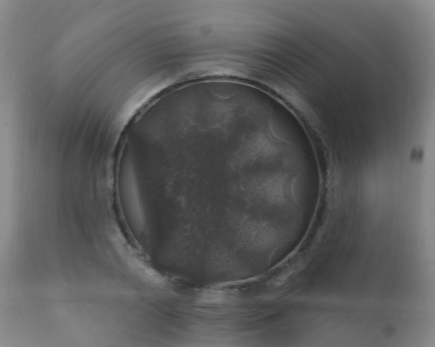 X0000112420790200908211145