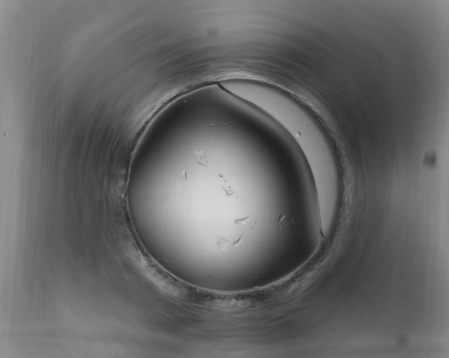 X0000112420793200908211145