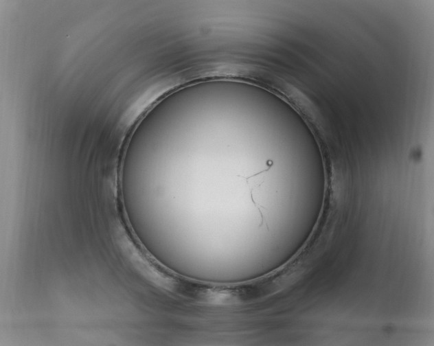 X0000112420794200908211145